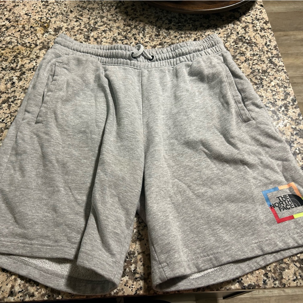 The North Face Light Gray Men's Shorts